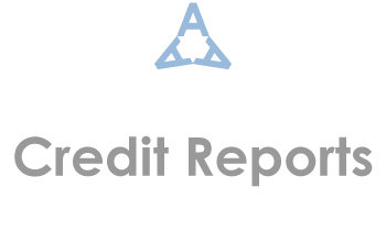 credit report